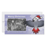 Christmas African Grey / Amazon / Parrot