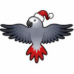 Christmas African Grey / Amazon / Parrot