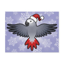 Christmas African Grey / Amazon / Parrot