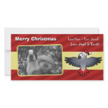 Christmas African Grey (medium bird)