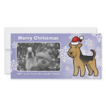 Christmas Airedale Terrier / Welsh Terrier