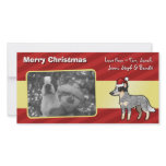 Christmas Australian Cattle Dog / Kelpie Picture Card