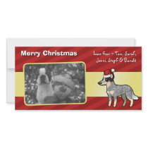 Christmas Australian Cattle Dog / Kelpie Picture Card