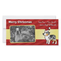 Christmas Australian Shepherd