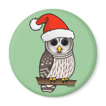 Christmas Barred Owl Santa Magnet