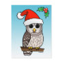 Christmas Barred Owl Santa Post Cards