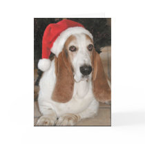 Christmas Basset Card-Blank Inside
