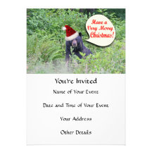 Christmas Bear Announcements