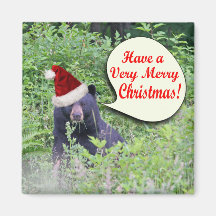 Christmas Bear Magnets