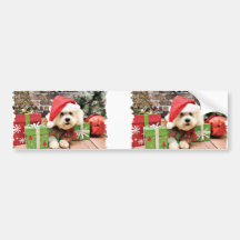 Christmas - Bichon Frise - Daisy Bumper Sticker