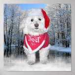 Christmas Bichon Frise Dog Posters