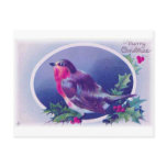 christmas bird blue