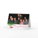 Christmas Bird - - Customised cards