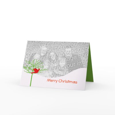 Christmas Bird - With Bonus Image Inside Greeting Card by samack
