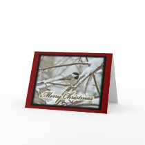 Christmas Black Capped Chickadee in Snow Card