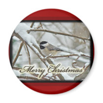 Christmas Black Capped Chickadee in Snow Magnet