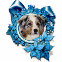 Christmas - Blue Snowflake - Australian Shepherd Photo Sculpture