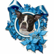 Christmas - Blue Snowflake - Boston & Rat Terrier Photo Cut Out