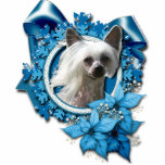 Christmas - Blue Snowflake - Chinese Crested Kahlo photo sculptures