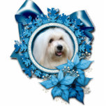Christmas - Blue Snowflake - Coton de Tulear photo sculptures