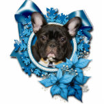 Christmas - Blue Snowflake - French Bulldog - Teal photo sculptures