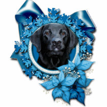 Christmas - Blue Snowflake - Labrador - Black Gaug