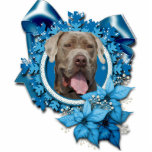Christmas - Blue Snowflake - Mastiff - Snoop photo sculptures