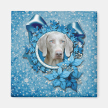 Christmas - Blue Snowflake - Weimeraner - Blue Eye Magnet