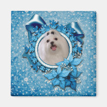 Christmas - Blue Snowflakes - Magnets