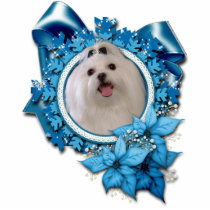 Christmas - Blue Snowflakes - Photo Cut Out