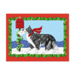 Christmas Border Collie Mail