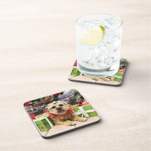 Christmas - Border Terrier - Reagan Coaster
