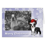 Christmas Boston Terrier Card