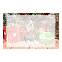 Christmas - Boston Terrier - Natty Customized Stationery
