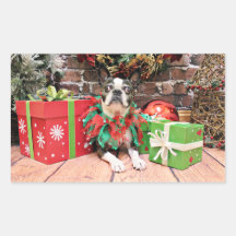 Christmas - Boston Terrier - Natty Stickers