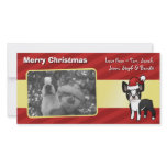Christmas Boston Terrier photo cards