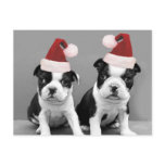 Christmas Boston Terriers postcards