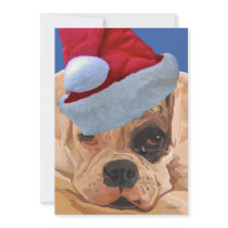 Christmas Boxer card