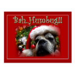 Christmas boxer dog postcard