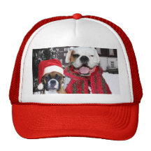 Christmas Boxer Dogs hat
