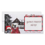 Christmas Boxer Dogs Photocard