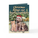 Christmas Brings Our Hearts Together, Puppy Kitten