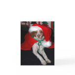 CHRISTMAS BRITTANY cards