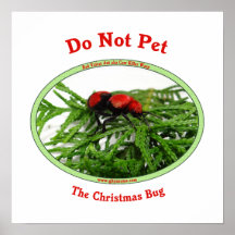 Christmas Bug Cow Killer Wasp Posters