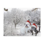 Christmas bulldogs 1 postcards