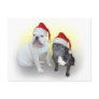 Christmas bulldogs 1 postcards