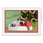 Christmas, Buon Natale, Italian, Sleeping Cat Card