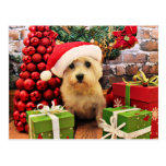 Christmas - Cairn Terrier - Roxy Post Card
