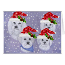 Christmas Card