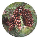 Christmas Card Envelope Seals Sticker